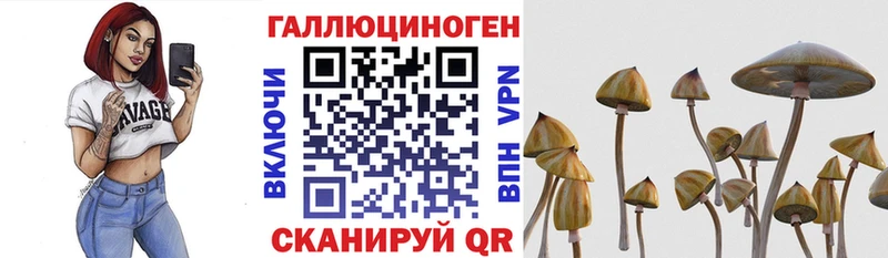Галлюциногенные грибы Psilocybe  как найти закладки  Калач-на-Дону 