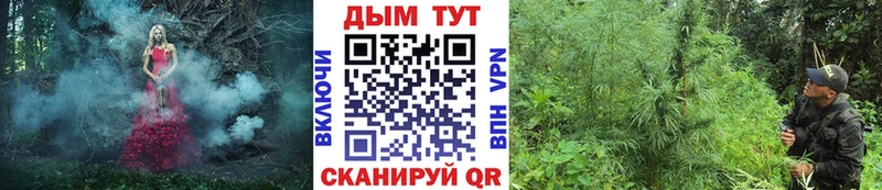 купить  сайты  блэк спрут ссылка  Бошки марихуана AK-47  Калач-на-Дону 
